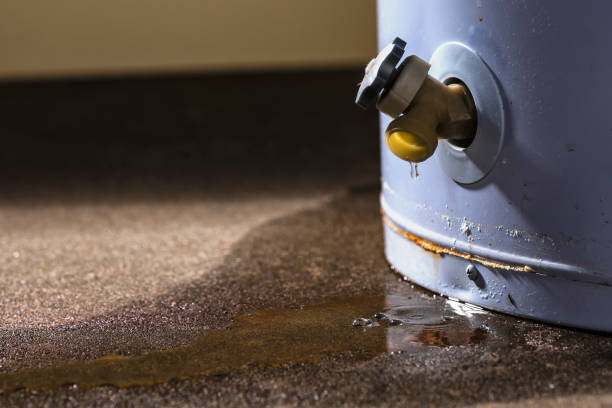 Sewage cleanup and water damage restoration in Shell Rock, IA