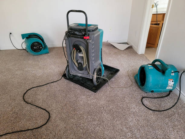 Best Water damage restoration cost  in Shell Rock, IA