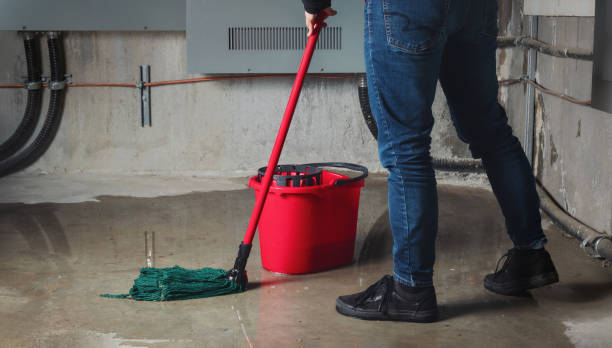 Best Professional water damage repair  in Shell Rock, IA
