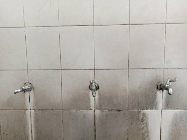 Best Emergency water damage restoration  in Shell Rock, IA