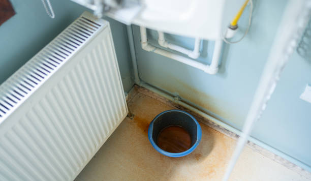 Best Water damage restoration near me  in Shell Rock, IA
