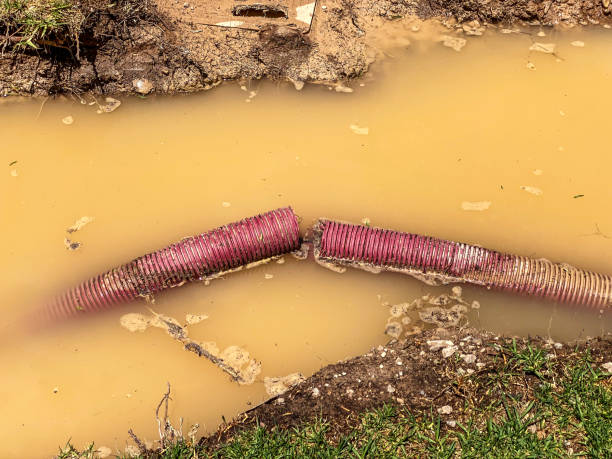 Best 24-hour water damage restoration  in Shell Rock, IA