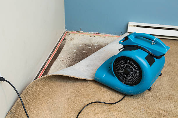 Best Water damage restoration near me  in Shell Rock, IA